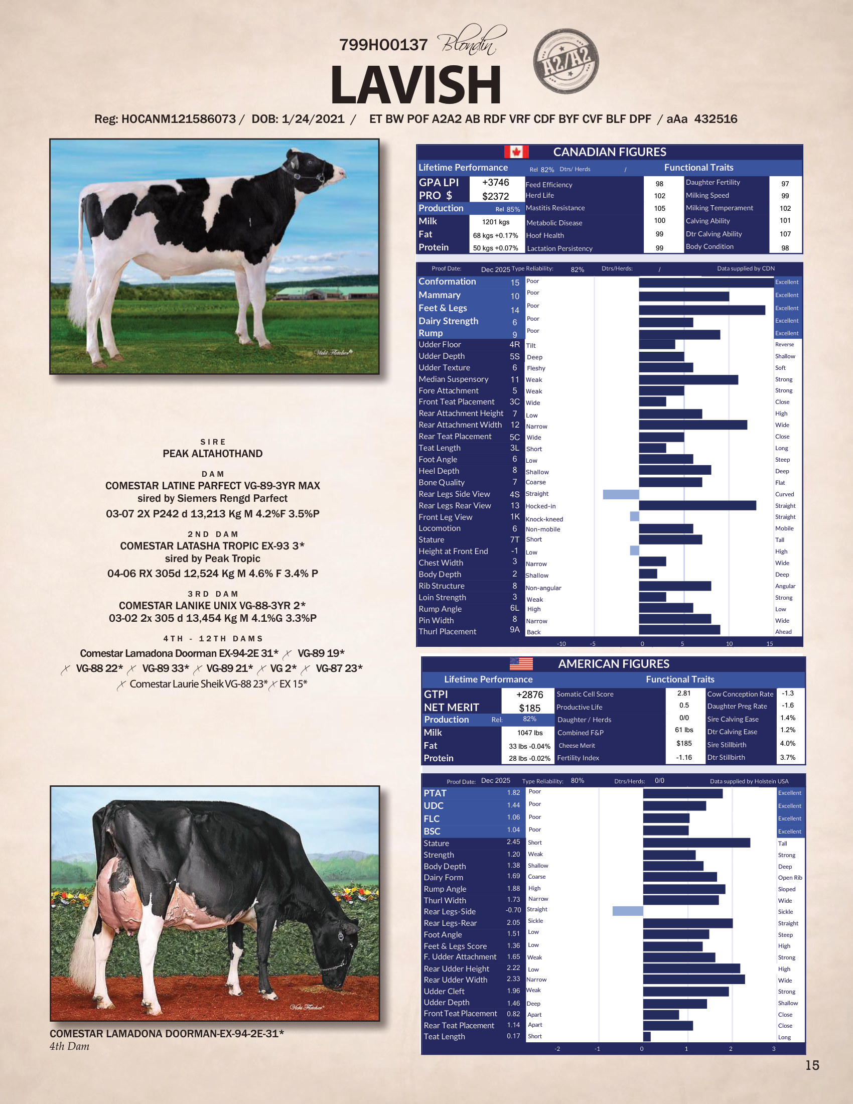 LAVISH — 799HO00137